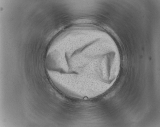 X0000076070529200610152230