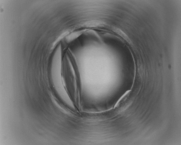 X0000076070530200610152230