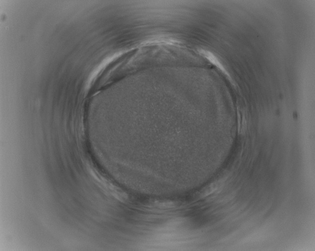 X0000076070531200610152230