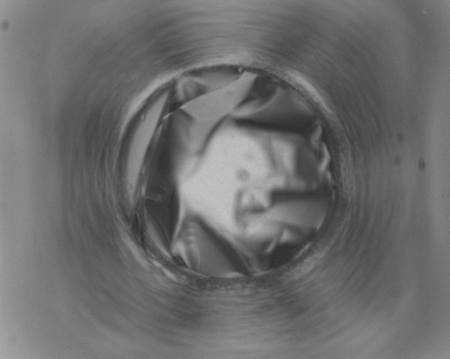 X0000076070532200610152230