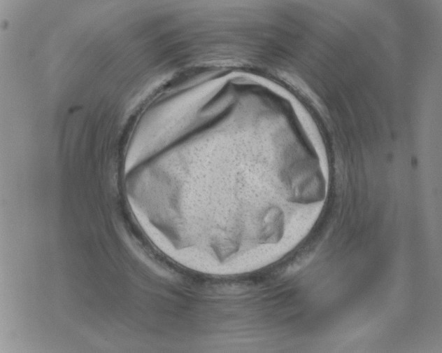 X0000076070533200610152230