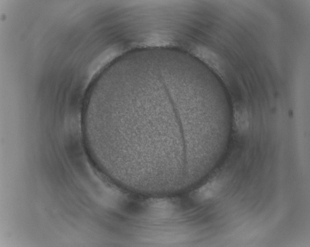 X0000076070534200610152230