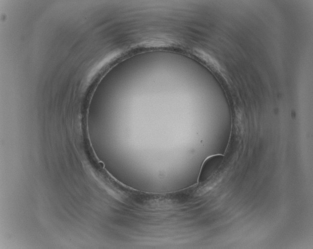 X0000076070535200610152230