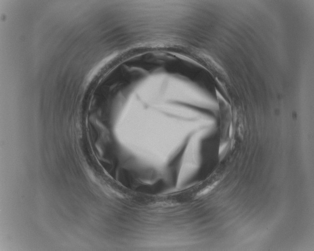 X0000076070536200610152230