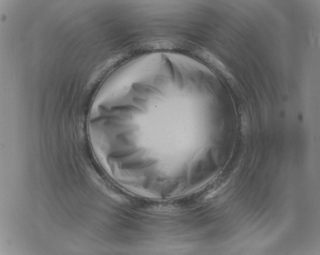 X0000076070537200610152230