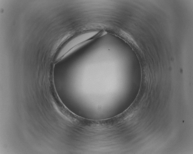 X0000076070538200610152230