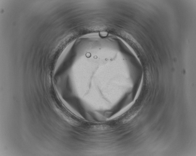 X0000076070541200610152230