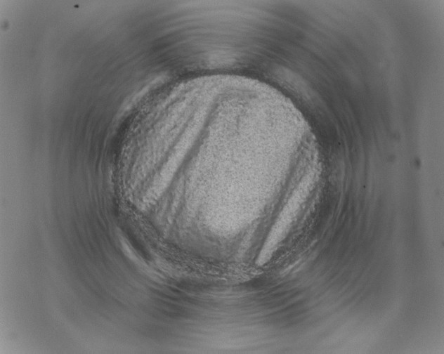 X0000076070542200610152230