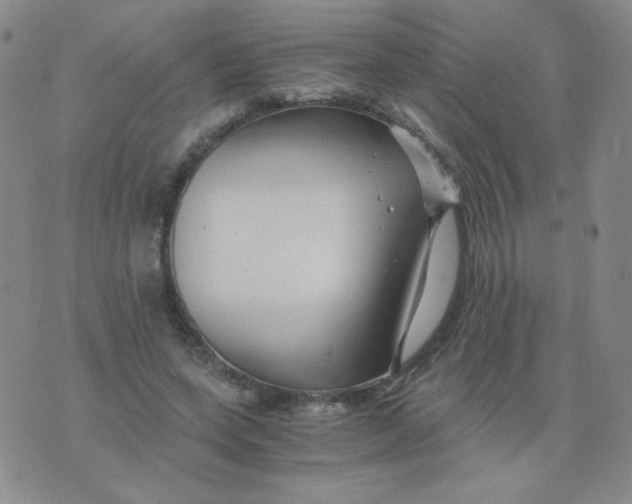 X0000076070543200610152230