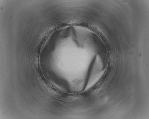 X0000076070545200610152230