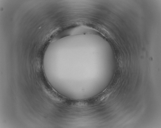 X0000076070546200610152230