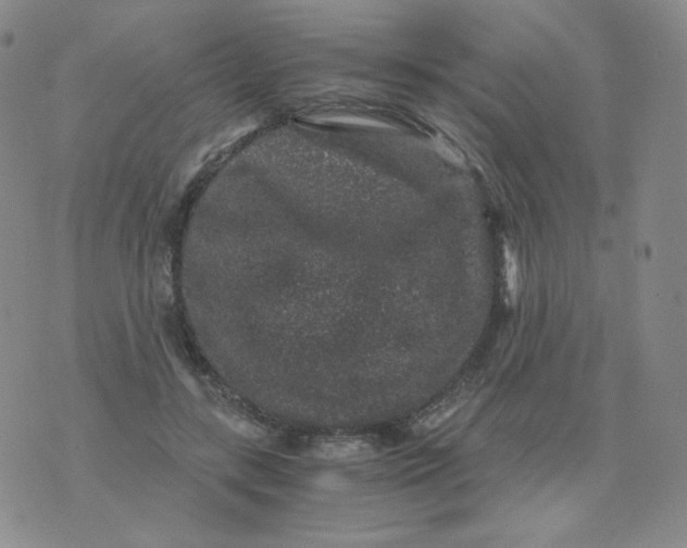 X0000076070547200610152230