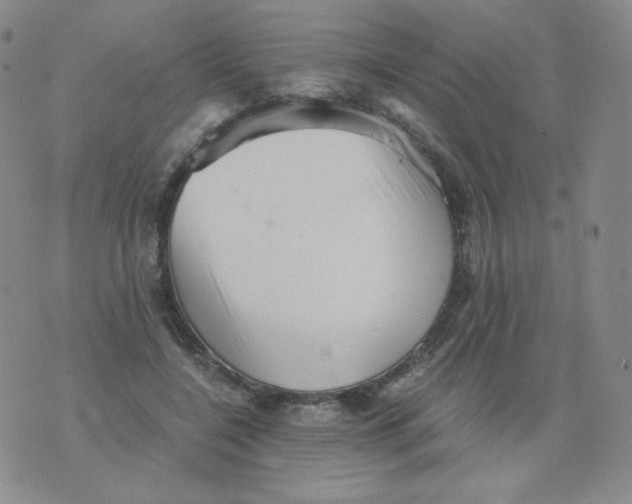 X0000076070548200610152230