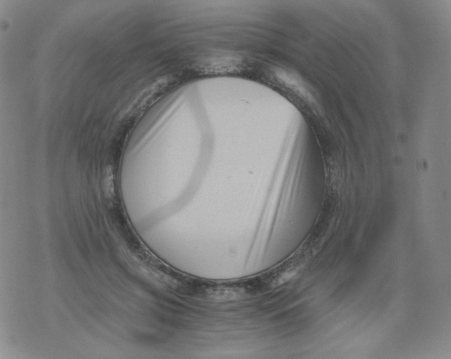 X0000076070549200610152230