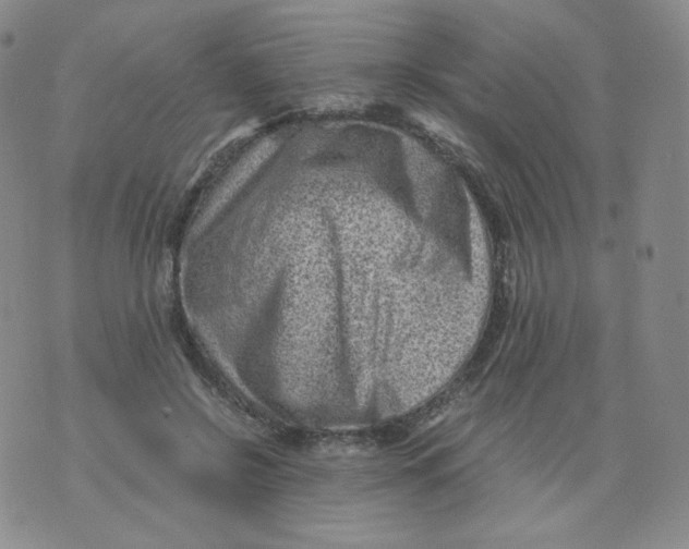 X0000076070550200610152230