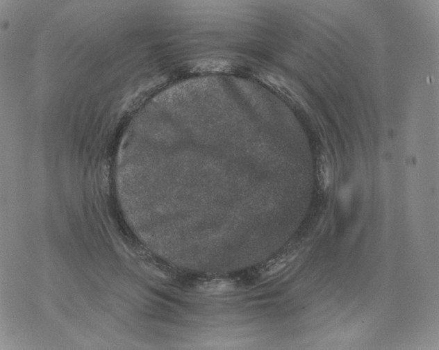 X0000076070551200610152230