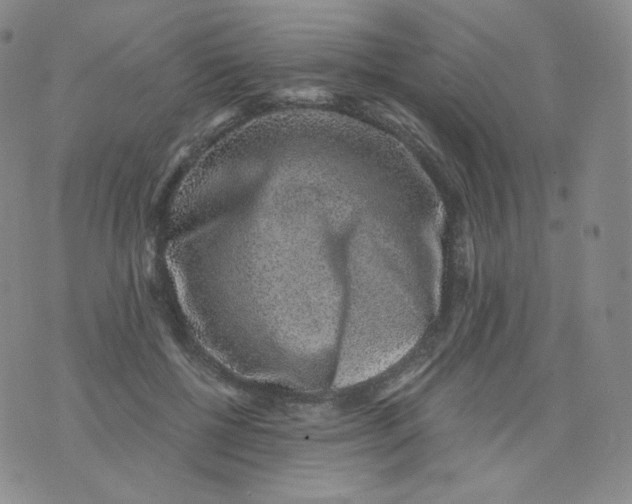 X0000076070552200610152230