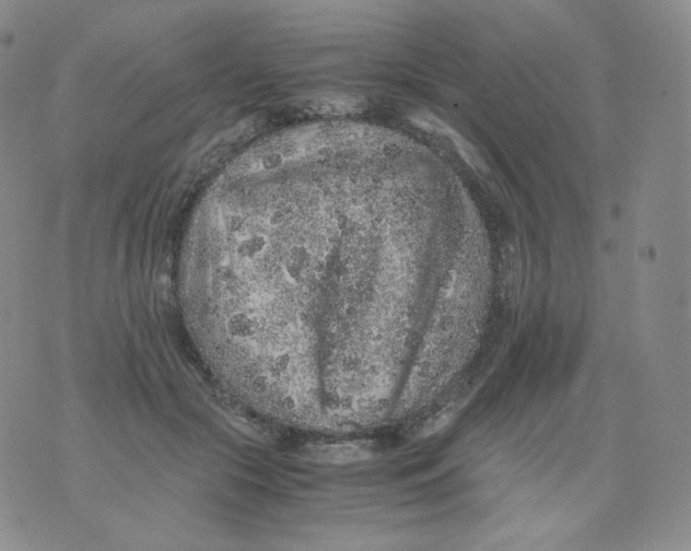 X0000076070553200610152230