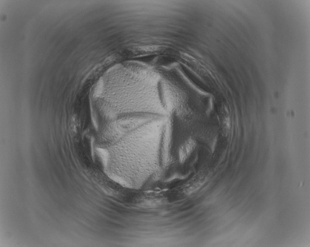 X0000076070555200610152230