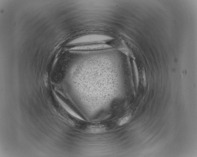 X0000076070556200610152230