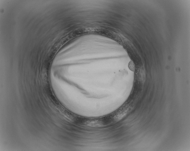 X0000076070557200610152230