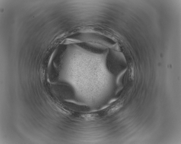 X0000076070558200610152230