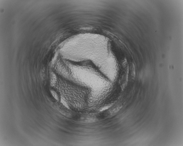 X0000076070559200610152230