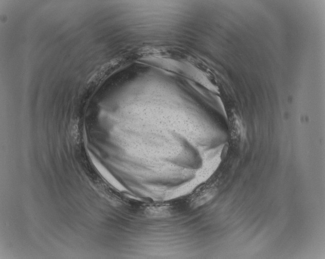 X0000076070560200610152230