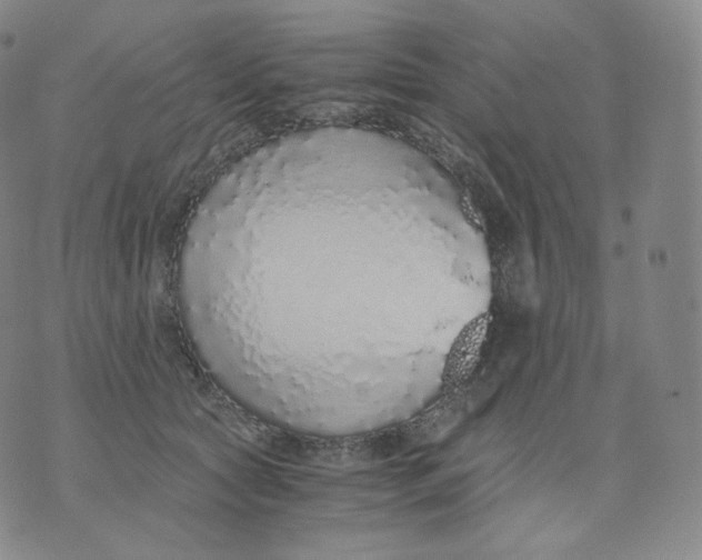 X0000076070561200610152230