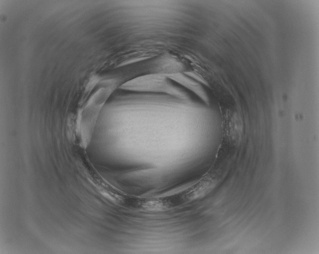 X0000076070562200610152230