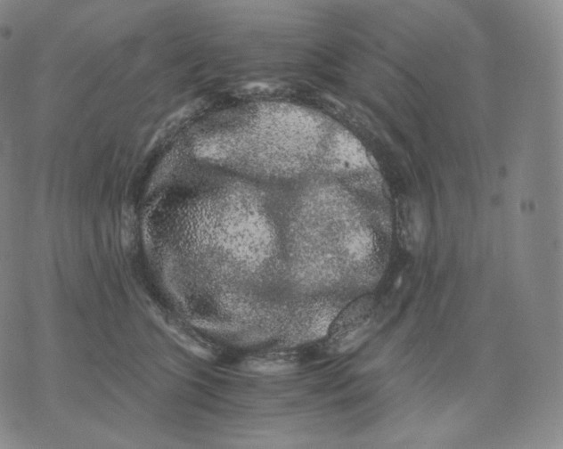 X0000076070563200610152230