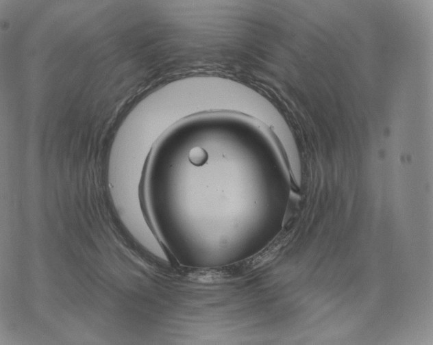 X0000076070564200610152230