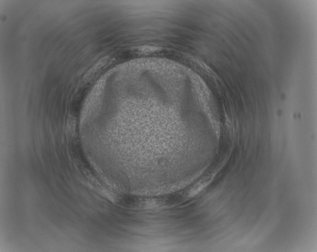 X0000076070565200610152230