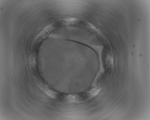 X0000076070566200610152230