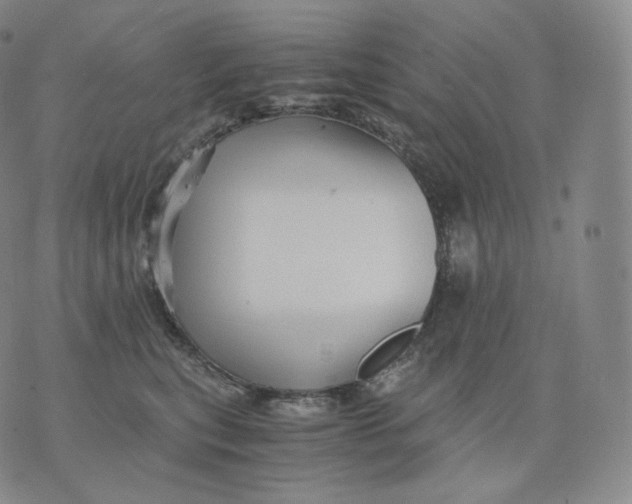 X0000076070567200610152230