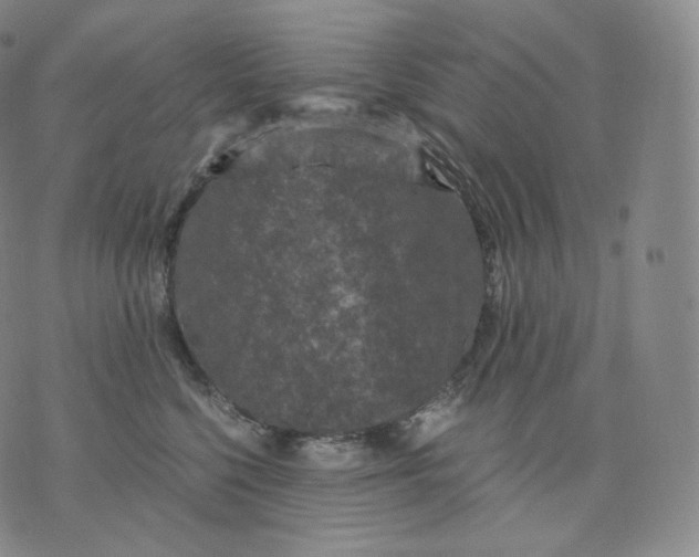 X0000076070568200610152230