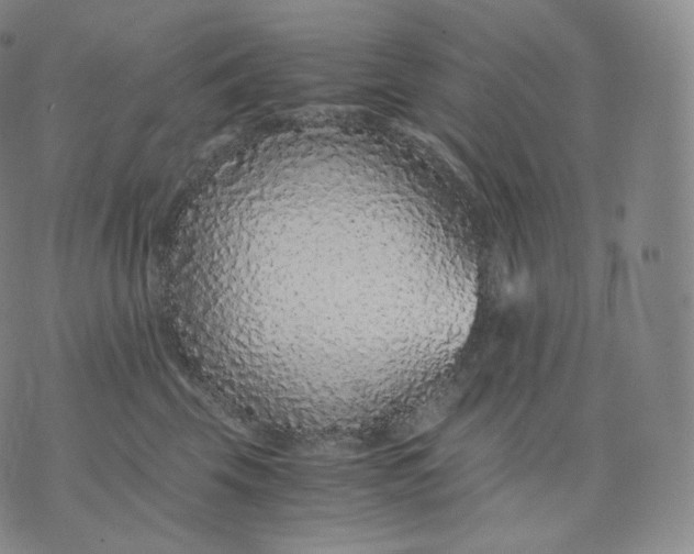 X0000076070569200610152230