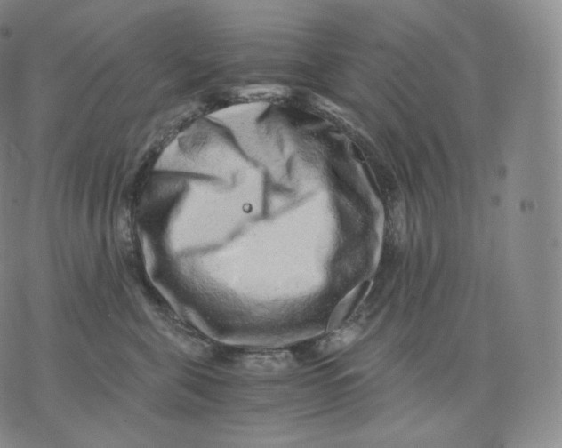 X0000076070571200610152230