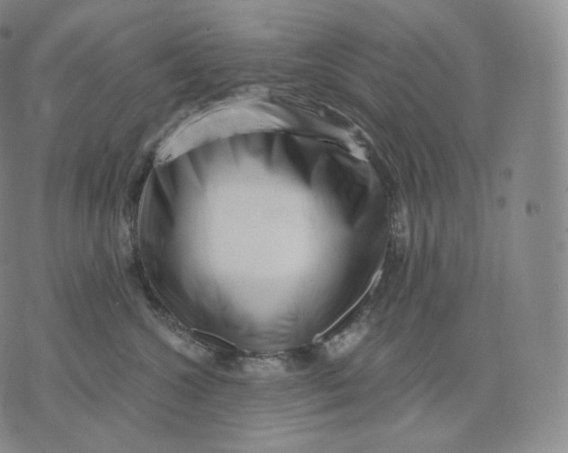 X0000076070572200610152230