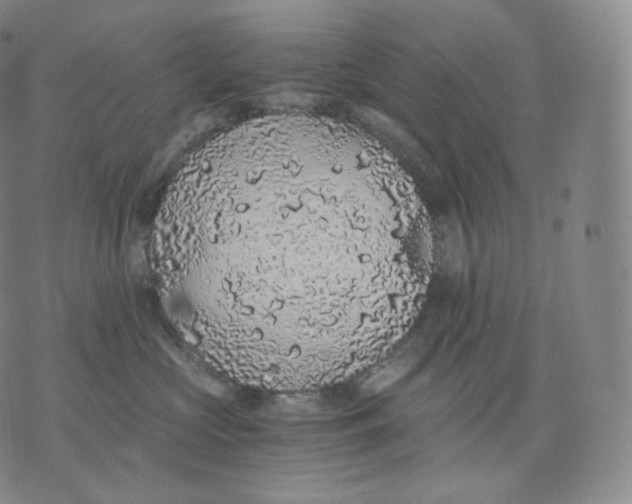 X0000076070573200610152230