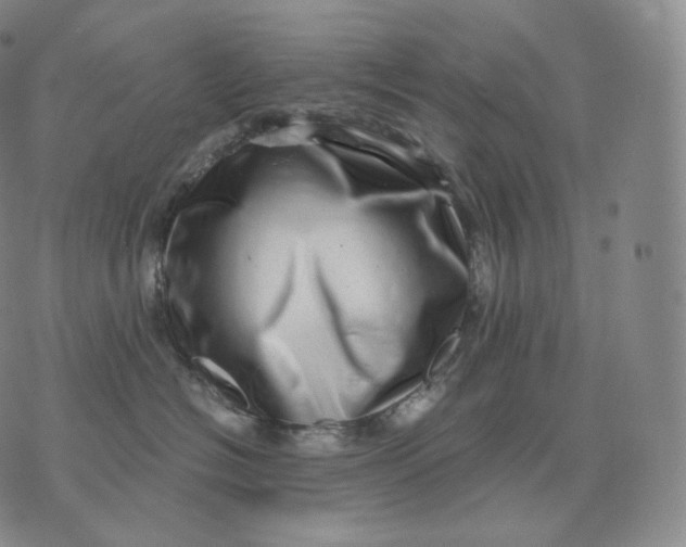 X0000076070574200610152230