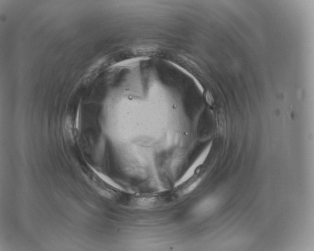 X0000076070575200610152231