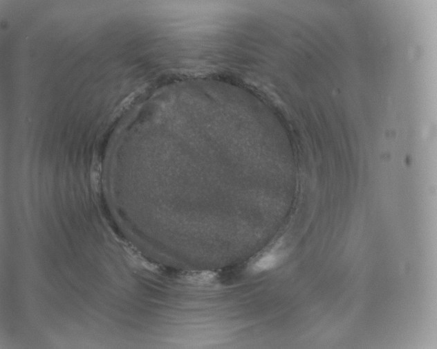 X0000076070576200610152231