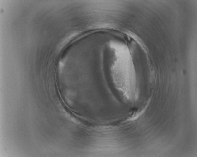 X0000076070577200610152230