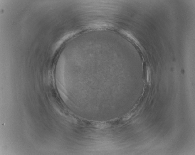 X0000076070579200610152230