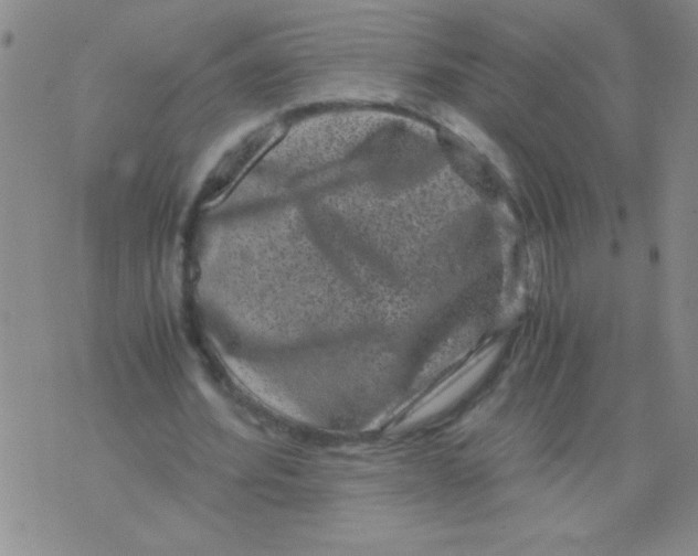 X0000076070580200610152230