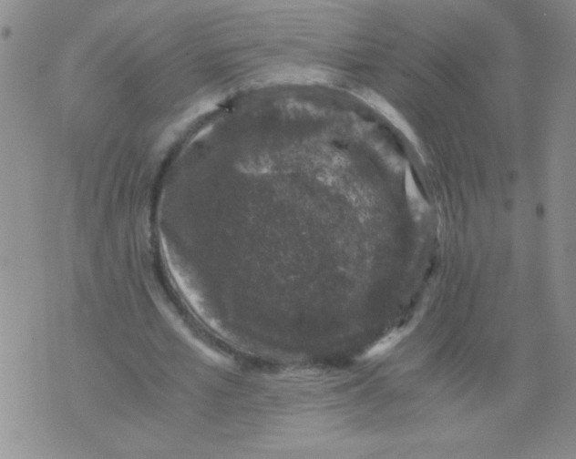 X0000076070581200610152230