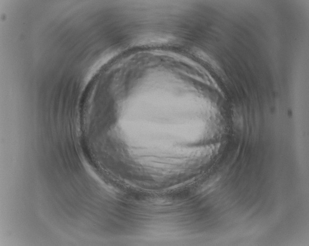 X0000076070582200610152230