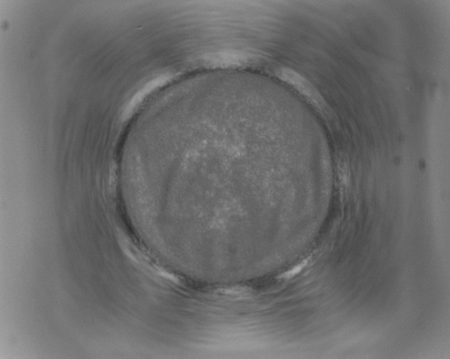 X0000076070583200610152230