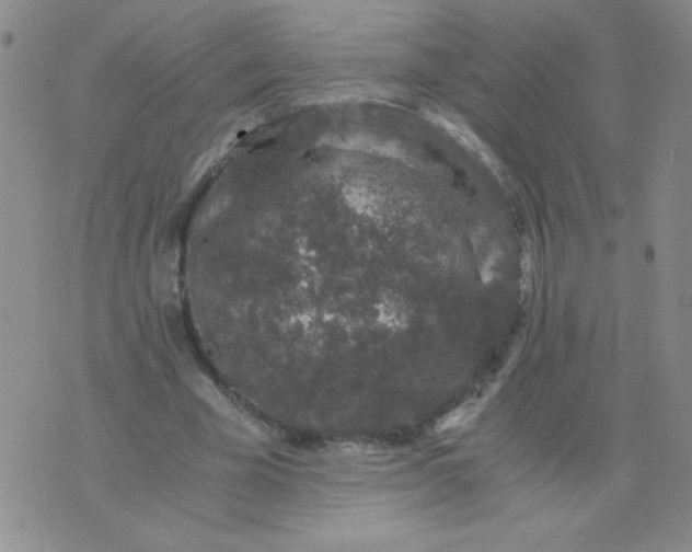 X0000076070585200610152230